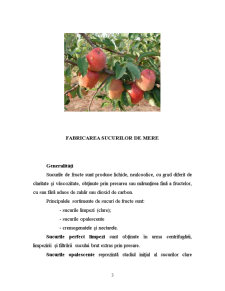 Proiectarea unei secții pentru obținerea sucului de mere concentrat - Pagina 4