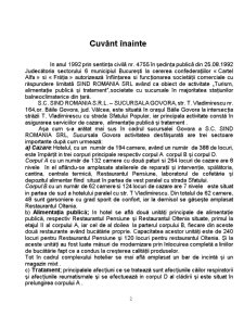 Studiu de Caz - SC Sind România SA - Pagina 2