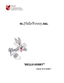 Hello Bunny - proiecte economice în comerț - Pagina 1