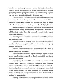 Raportul Corpului de Punte cu Creasta Edentată - Pagina 2