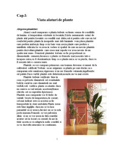 Plante de Apartament - Pagina 3