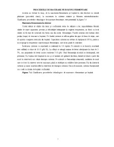 Procedeele de Macerare pe Boștină Fermentare - Pagina 1