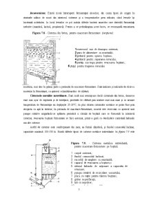 Procedeele de Macerare pe Boștină Fermentare - Pagina 3