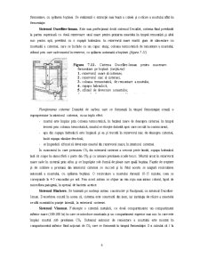 Procedeele de Macerare pe Boștină Fermentare - Pagina 5