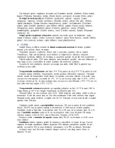 Studiul privind indicatorii necesari realizării planului de amenajare a teritoriului Județului Mureș - Pagina 5