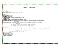 Proiect didactic - abilități practice - Pagina 1
