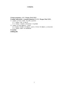 Analiza Indicatorilor Economico - Financiari la SC Prosper Prod SRL - Pagina 2