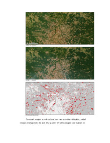 Defrișările din Padurile Amazoniene - Pagina 4