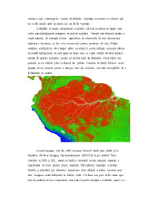 Defrișările din Padurile Amazoniene - Pagina 5