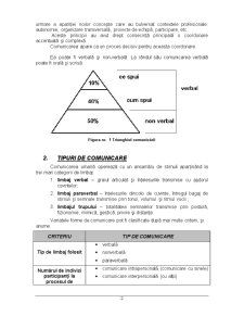 Cercetare privind Procesele de Comunicare în Cadrul Grupurilor - Pagina 2