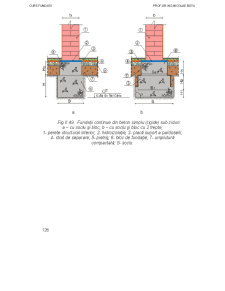 Fundații - Pagina 39