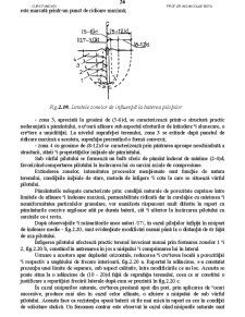 Fundații - Pagina 176