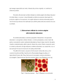 Bioreactoare moderne utilizate în creșterea algelor - Pagina 4