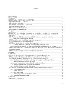 Modelarea deciziilor contabile pe baza calculației costurilor de producție studiu de caz la SA Grasica Gradiștea - Pagina 2