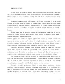 Modelarea deciziilor contabile pe baza calculației costurilor de producție studiu de caz la SA Grasica Gradiștea - Pagina 4