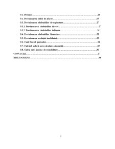 Factori de analiză critică și planul de afaceri la SC Lion SA în etapa 2005-2009 - Pagina 4
