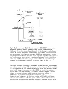Activitatea mediată oxidativ a fosfolipazei A2 - Pagina 4
