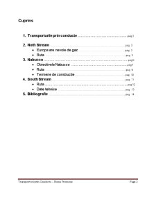 Transporturi prin Conducte - Pagina 2