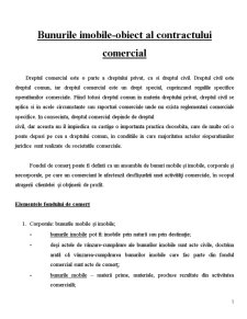 Bunurile Imobile - Obiect al Contractului Comercial - Pagina 1