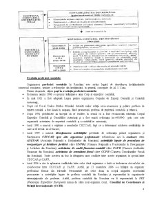 Sistemul Contabil din România - Pagina 4