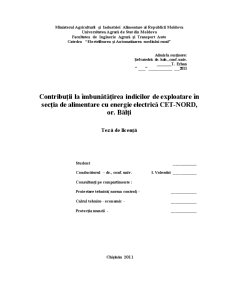 Contribuții la îmbunătățirea indicilor de exploatare în secția de alimentare cu energie electrică Cet-Nord, Bălți - Pagina 2
