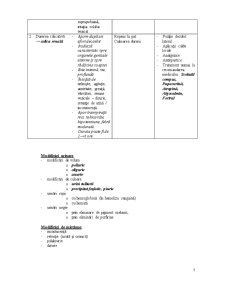 Examenul clinic al aparatului urinar - Pagina 5