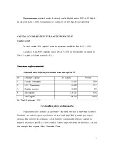 Analiza economico-financiară a unei intreprinderi. caz de studiu - Sursal SA - Pagina 2