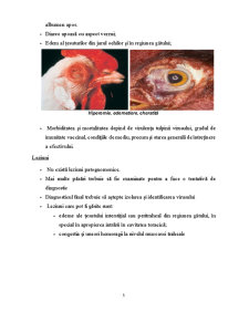 Epidemiologia Pseudopestei Aviare în Europa - Boala de Newcastle - Pagina 5