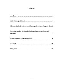 Analiza Riscurilor și Punctelor de Control a Indulcitoriilor Sintetice - Pagina 2