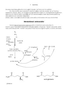 Lipide Enzime - Ciclul Krebs - Pagina 3