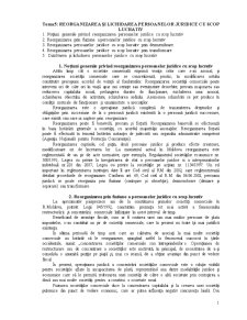 Activitatea de întreprinzător - reglementarea juridică a activității de întreprinzător - Pagina 1