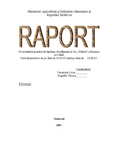 Raport de practică - Vinăria Trifești - Pagina 1
