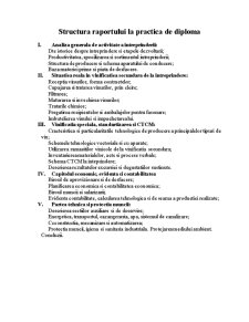Raport de practică - Vinăria Trifești - Pagina 2
