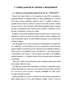 Raport de practică - Vinăria Trifești - Pagina 4