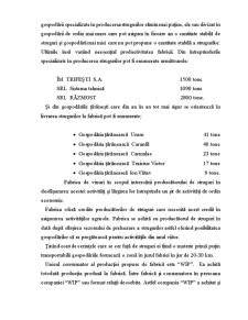Raport de practică - Vinăria Trifești - Pagina 5