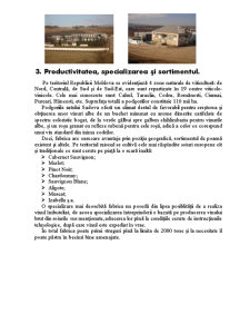 Raport de practică - Fabrica de vinuri Sadova - Pagina 4