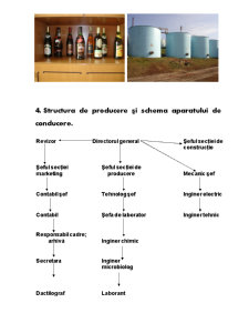 Raport de practică - Fabrica de vinuri Sadova - Pagina 5