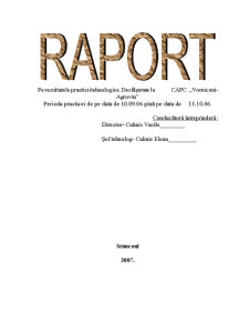 Raport de practică la Vorniceni - Agrovin - Pagina 1