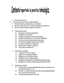Raport de practică la Vorniceni - Agrovin - Pagina 2