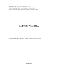 Caiet de practică - SC Moara Spicu SRL - Pagina 1