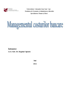 Managementul Costurilor Bancare - Pagina 1