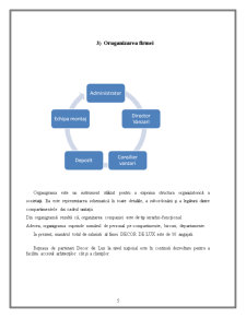 Proiect practică - SC Decor de Lux SRL - Pagina 5