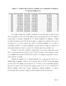 Analiza performanțelor financiare la SC Morărit Panificație - Pagina 5