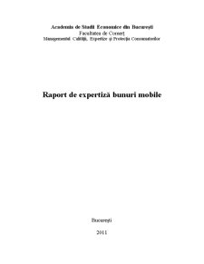 Raport de Expertiză Bunuri Mobile - Pagina 1