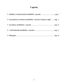 Tratamente Contabile privind Imobilizările Corporale - Pagina 2