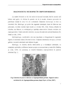 Diagnosticul Necropsic în Criptosporidioză - Pagina 1