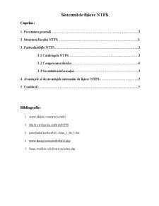 Sistemul de Fișiere NTFS - Pagina 1