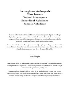 Încrengătura arthropoda - clasa insectă, ordinul homoptera, subordinul aphidinea, familia aphididae - Pagina 1