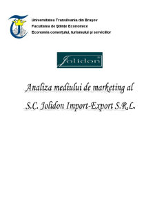 Analiza Mediului de Marketing al SC Jolidon SRL - Pagina 3