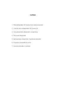 Studiu de Caz SC Farmec SA - Pagina 2